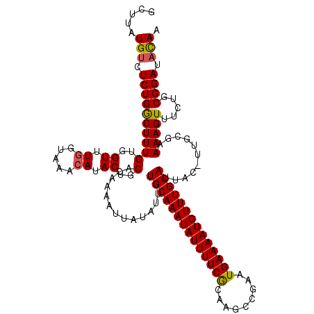 secondary structure