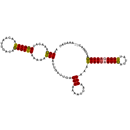 secondary structure