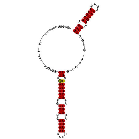 secondary structure