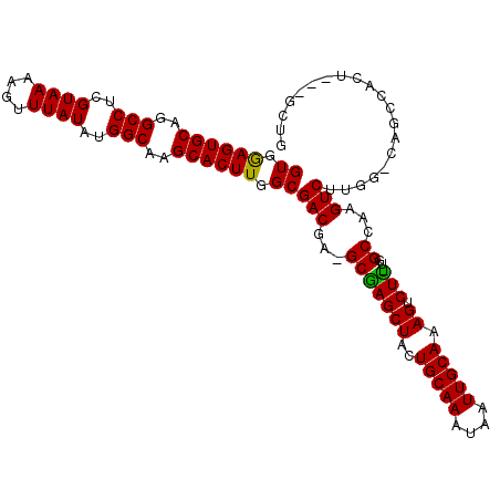 secondary structure