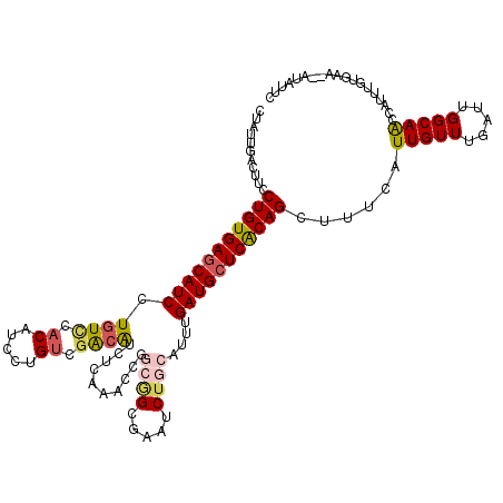 secondary structure