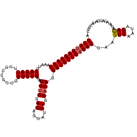 secondary structure