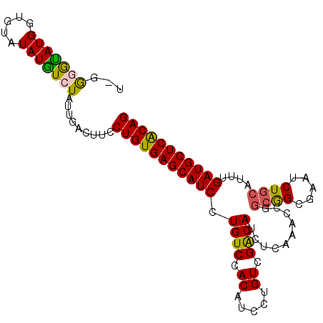 secondary structure