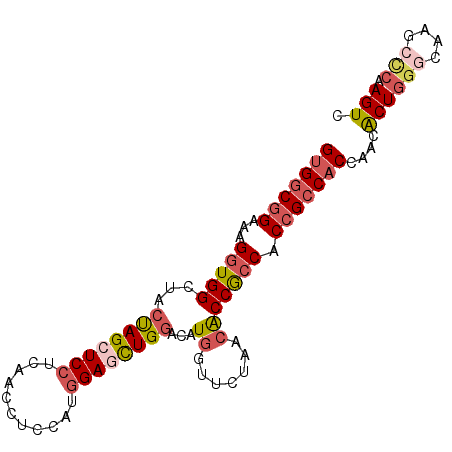 secondary structure