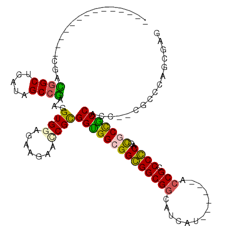 secondary structure
