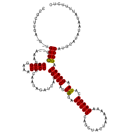 secondary structure