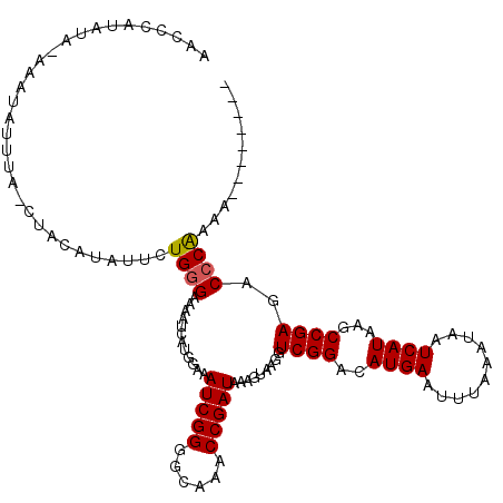 secondary structure