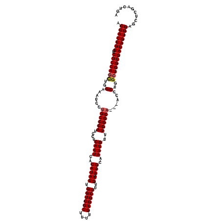 secondary structure