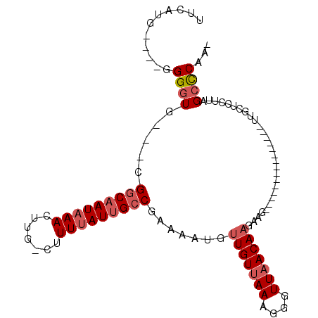 secondary structure