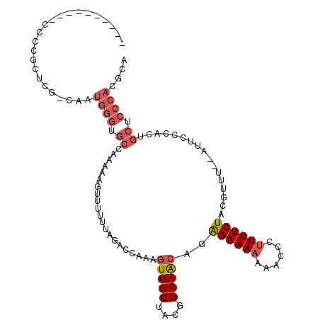 secondary structure