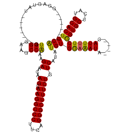 secondary structure