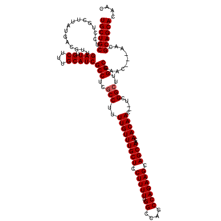 secondary structure