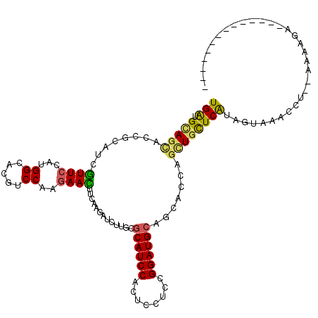 secondary structure