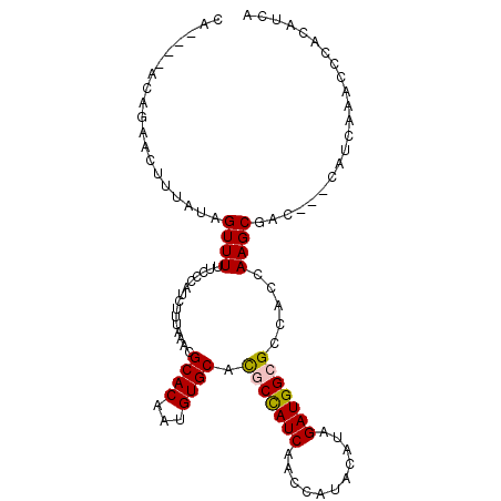secondary structure