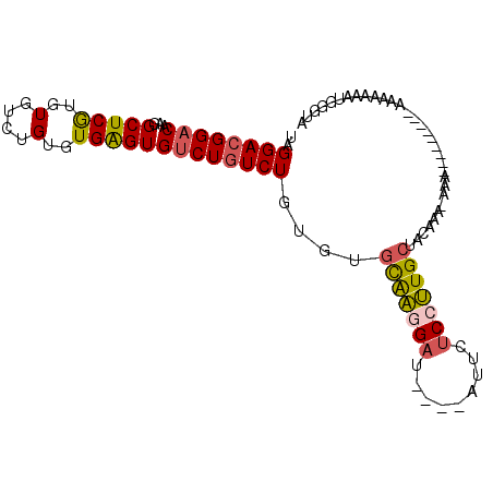 secondary structure
