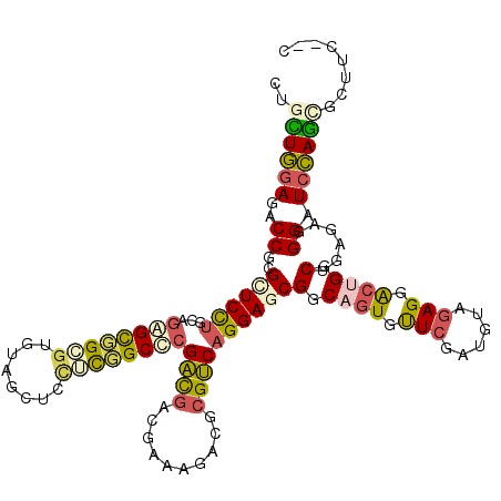 secondary structure