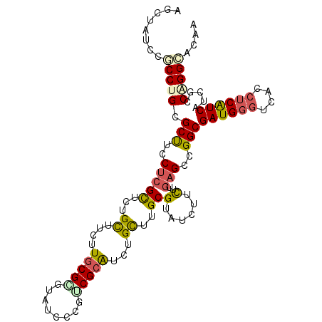 secondary structure