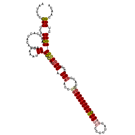 secondary structure