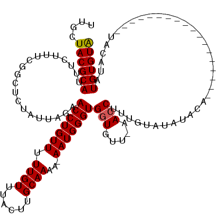 secondary structure
