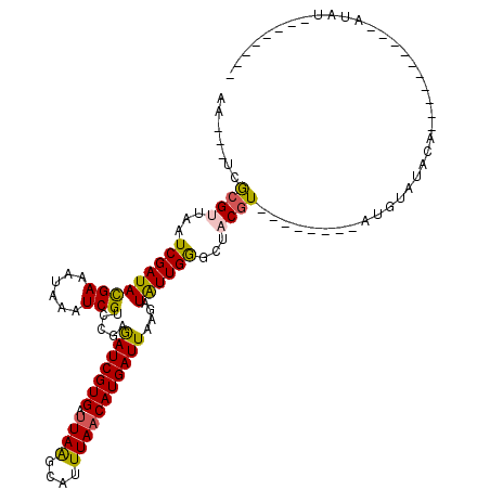secondary structure