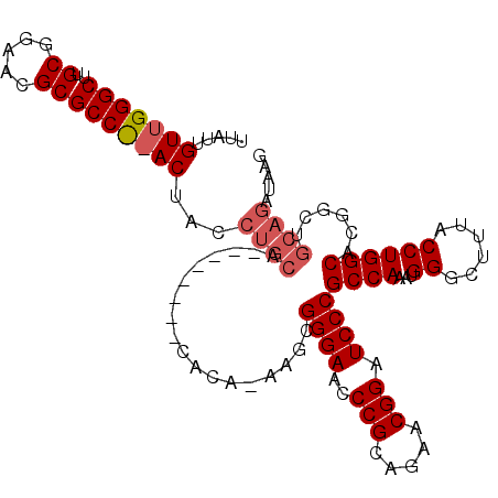 secondary structure