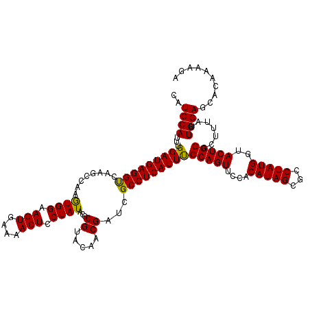 secondary structure