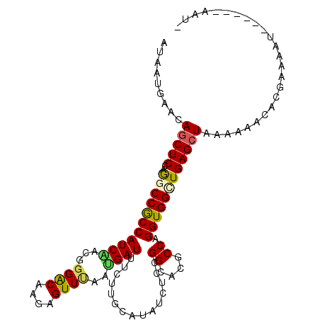 secondary structure