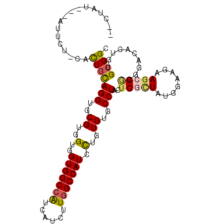 secondary structure