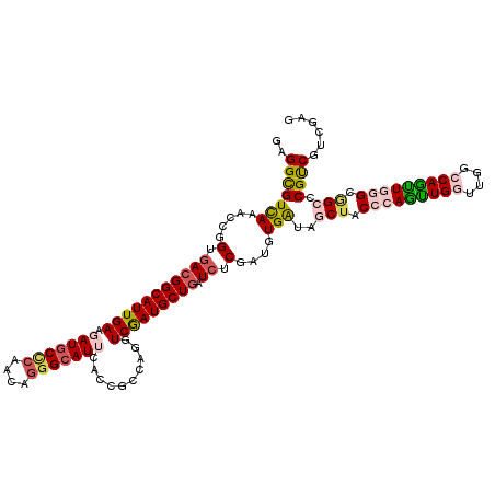secondary structure