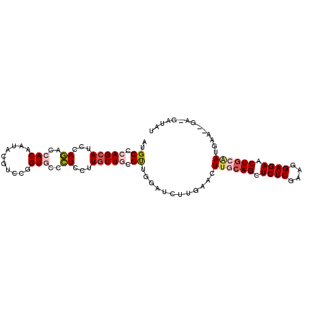 secondary structure
