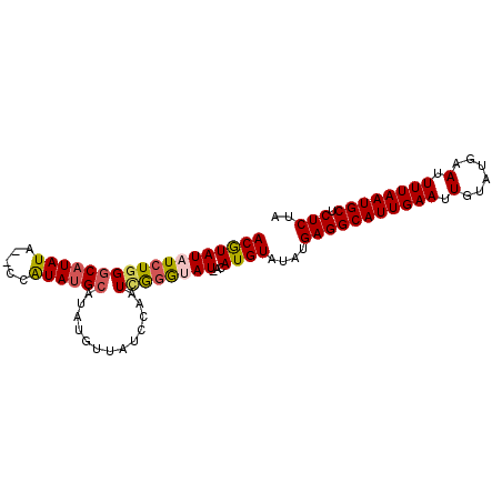 secondary structure