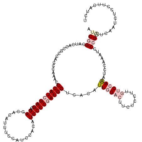 secondary structure