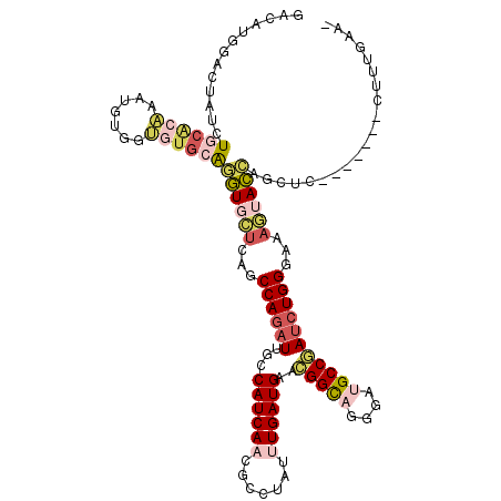 secondary structure