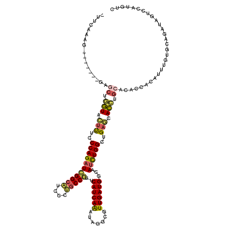 secondary structure
