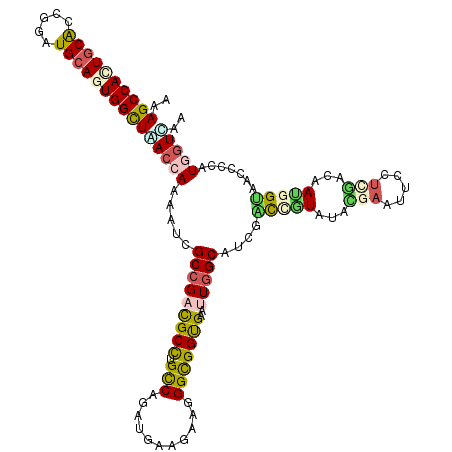 secondary structure