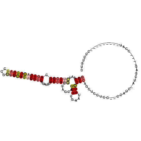 secondary structure