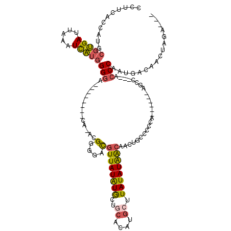 secondary structure