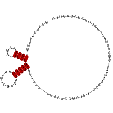 secondary structure