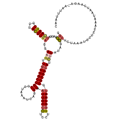 secondary structure
