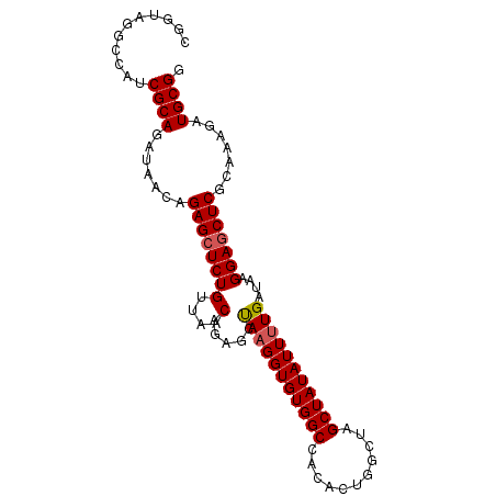 secondary structure