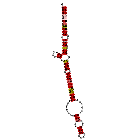 secondary structure
