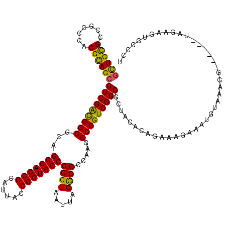 secondary structure