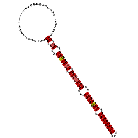 secondary structure