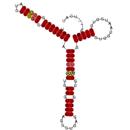 secondary structure