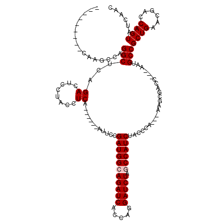 secondary structure