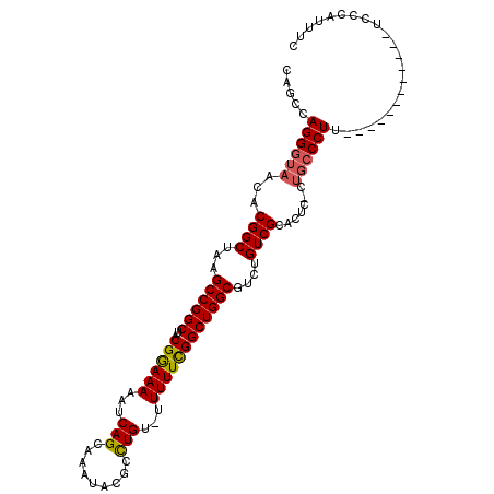 secondary structure