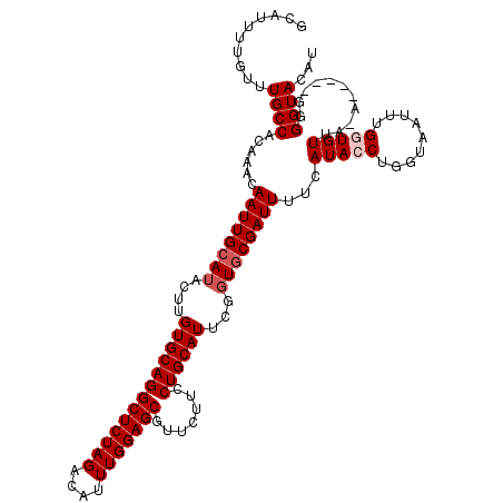secondary structure