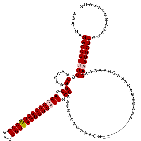 secondary structure