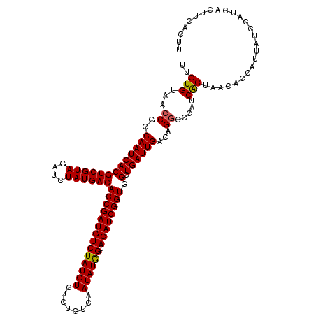 secondary structure