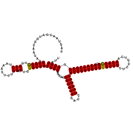 secondary structure
